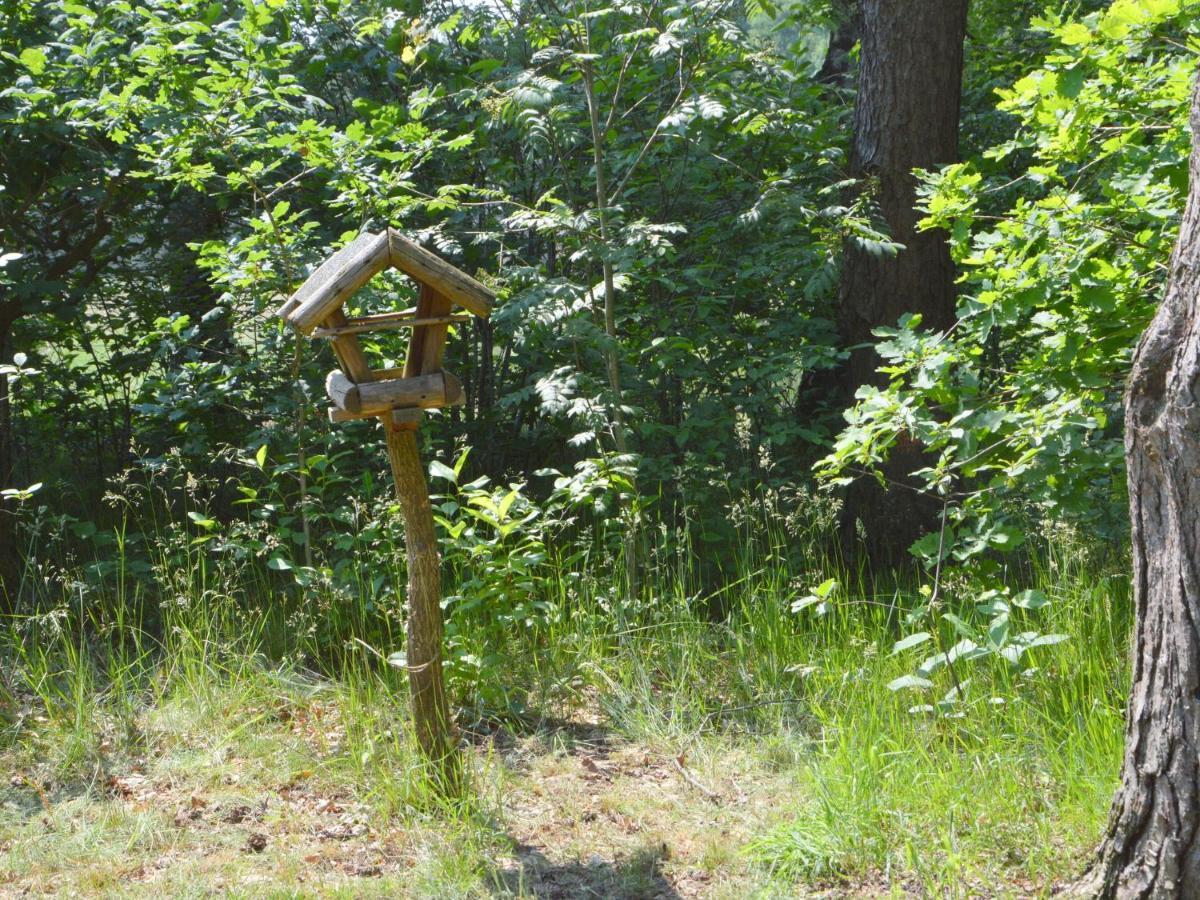 Detached Holiday Home With Sauna Large Garden Stramproy 외부 사진